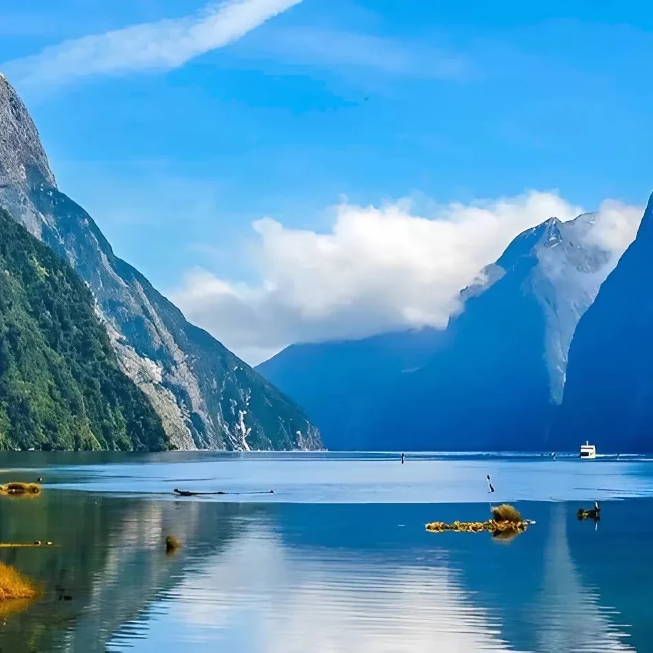 2026 LSNZ紐西蘭語言學校完整介紹|Queenstown+Christchurch校區|GLC鉅霖遊學