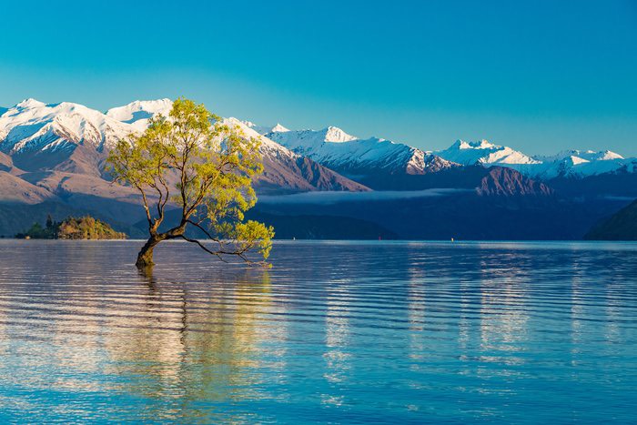 2026 LSNZ紐西蘭語言學校完整介紹|Queenstown+Christchurch校區|GLC鉅霖遊學