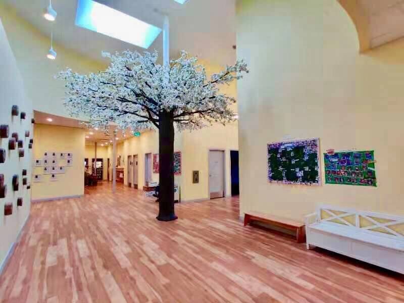 幼教 ECE 早期教育 幼兒教育 移民 加拿大 代辦 推薦