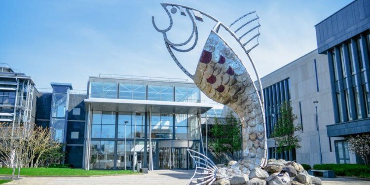 愛爾蘭大學研究所介紹 IT Sligo 斯萊戈理工學院 – GLC鉅霖