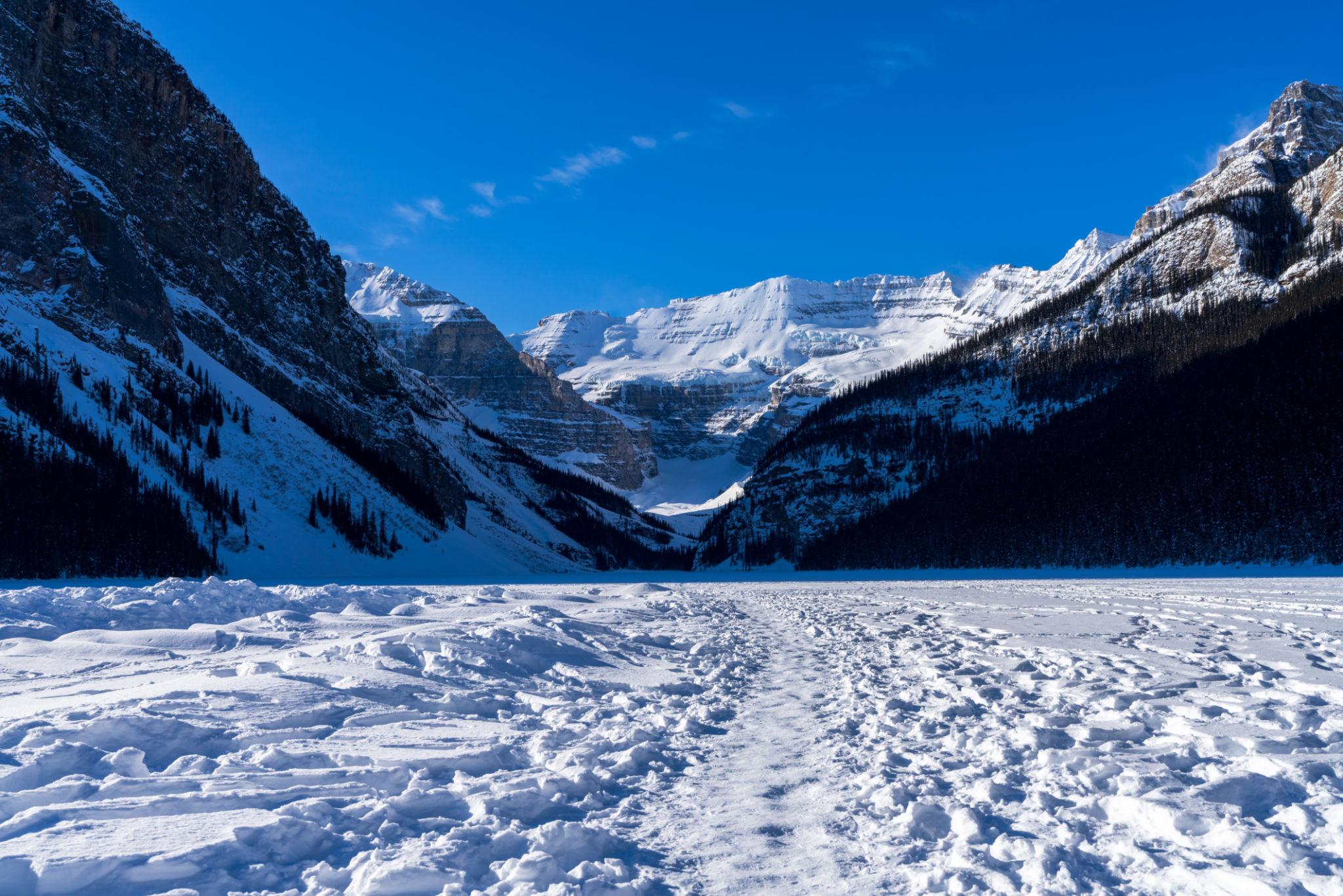 2026 CES 語言學校 最新優惠全解析|英國、愛爾蘭、加拿大遊學折扣+住宿方案一次看