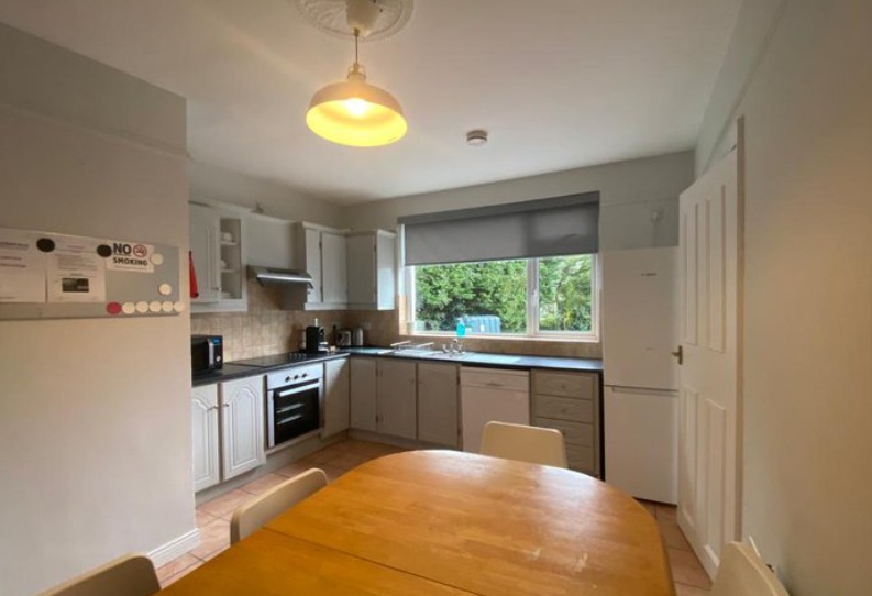 2026 愛爾蘭高威遊學推薦 Bridge Mills 語言學校 鉅霖國際留遊學