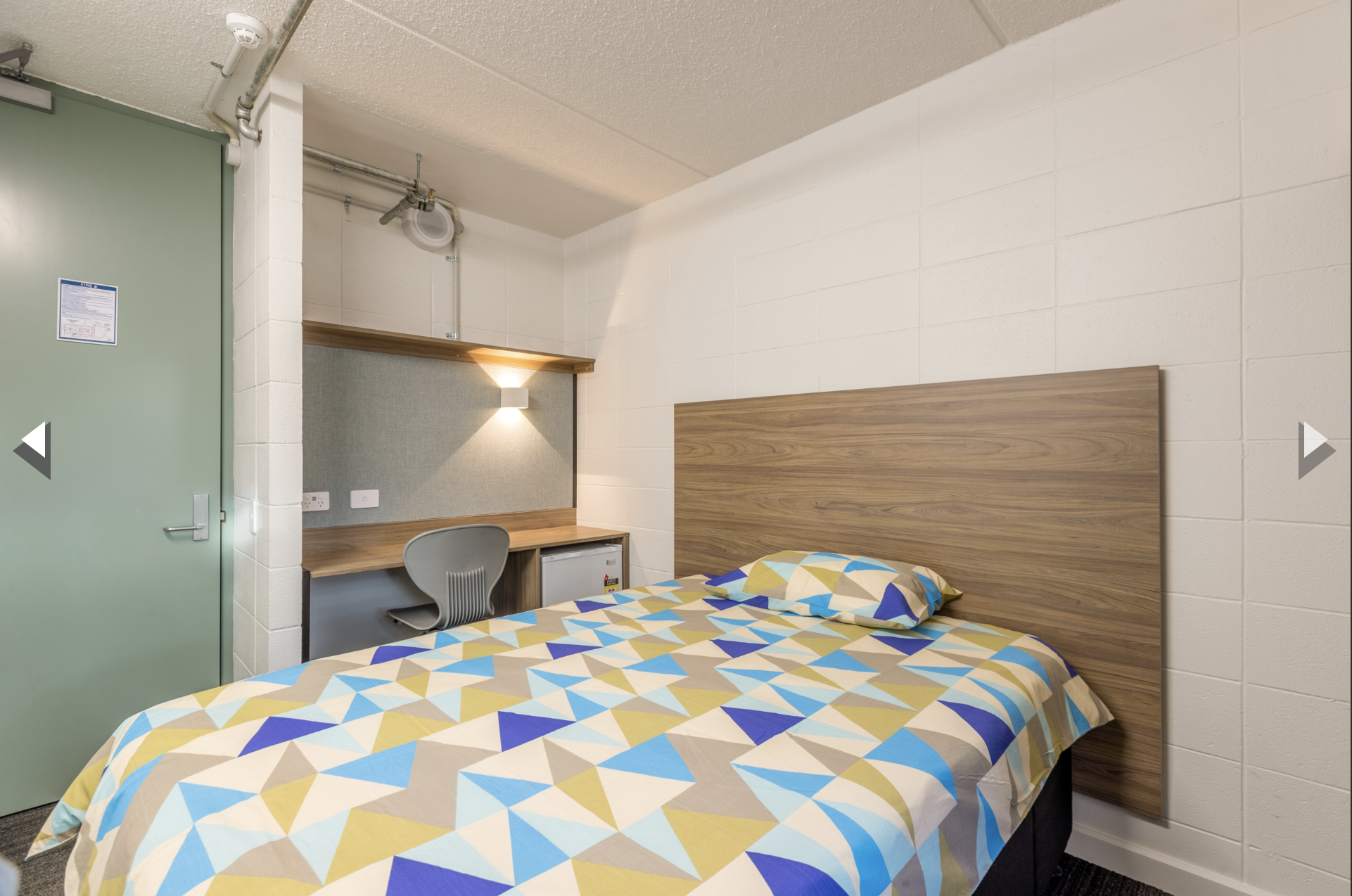 2026 NZLC 紐西蘭語言學校 |奧克蘭校區|GLC鉅霖留遊學