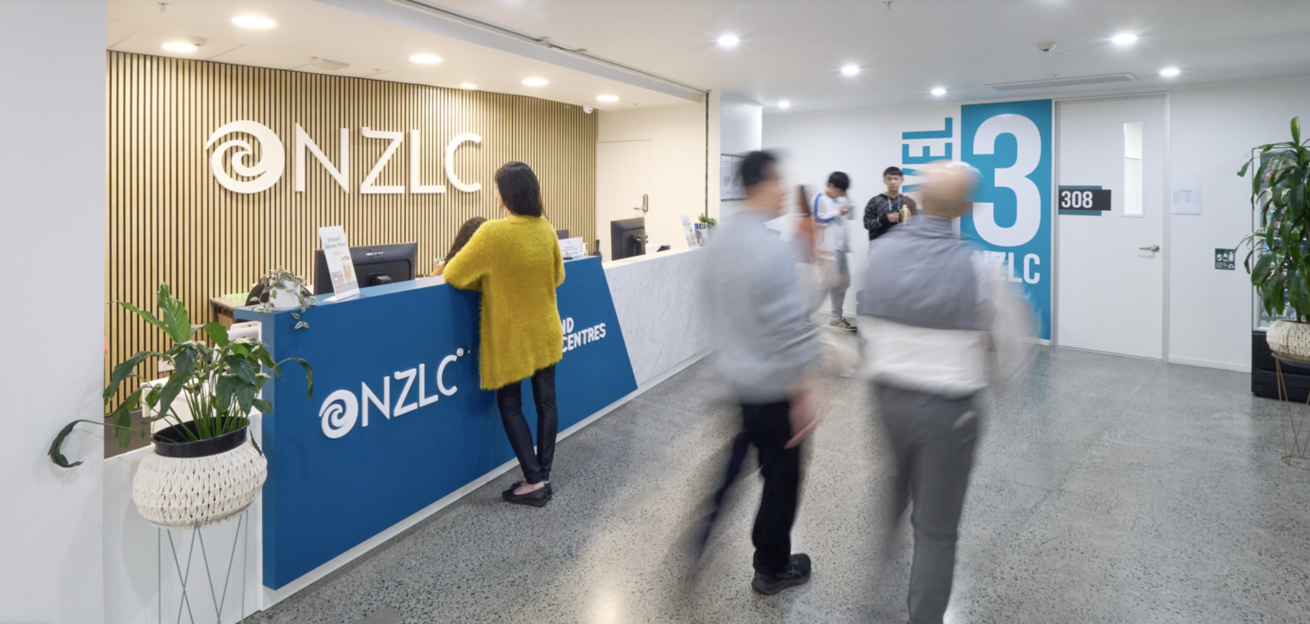 2026 NZLC 紐西蘭語言學校 |奧克蘭校區|GLC鉅霖留遊學