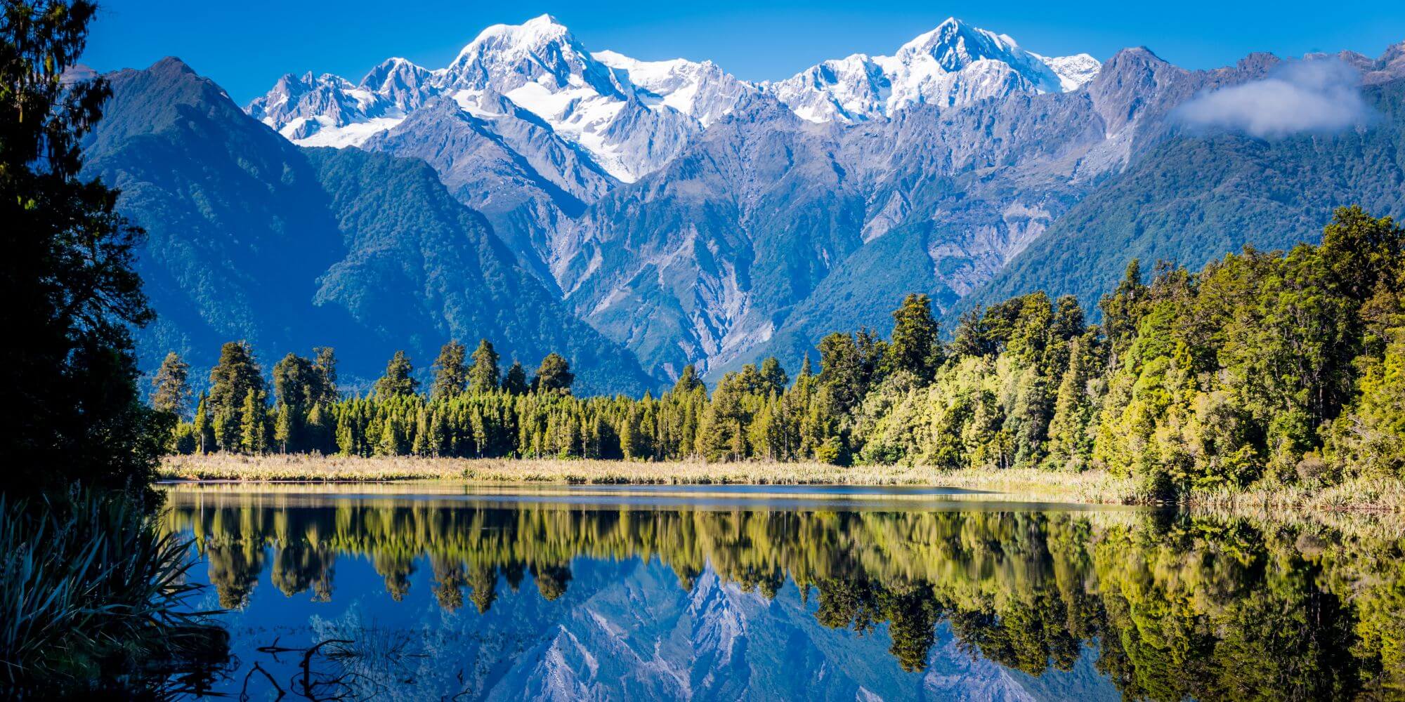 2026 紐西蘭語言學校怎麼選 | 學校完整解析 | 鉅霖遊學